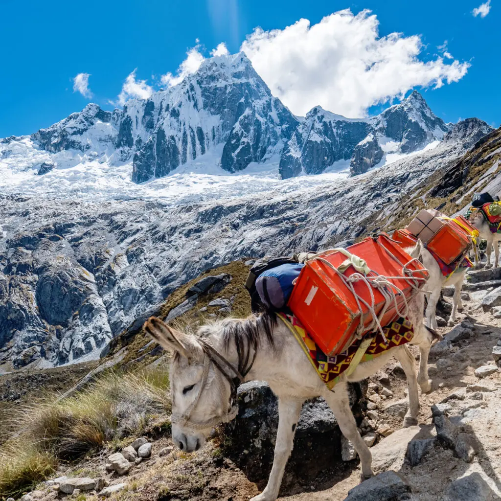 Peru - Pod hvězdami Cordillery Blanca 30. 6. – 16. 7. 2027